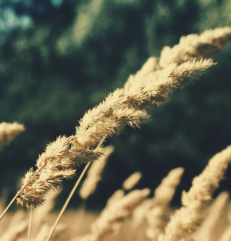 短信验证码轰炸平台